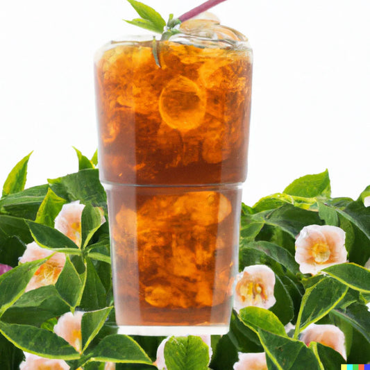 Tea Shrub Seeds - 5 Pack - Camellia sinensis - Black, White, Green Tea Leaf Plant