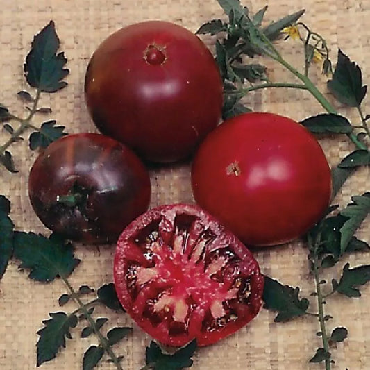 Russian Black Krim Tomato Seeds - Non-GMO Organic Heirloom - 30+ Seeds - Solanum lycopersicum