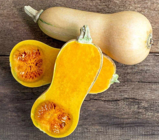 Waltham Butternut Winter Squash Seeds - 20 Fresh Premium Seeds - Cucurbita moschata