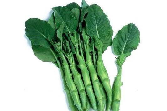 Big Stem Chinese Broccoli Seeds - Non-GMO Heirloom Variety - Brassica oleracea