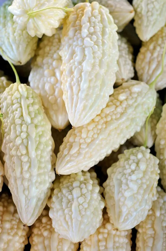 White Bitter Melon Seeds - 6 Pack for Planting - Bitter Gourd Melon - Momordica charantia