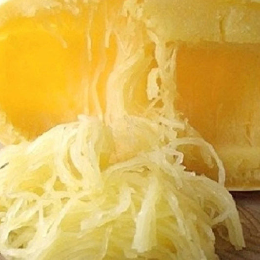 Spaghetti Squash Seeds | NON-GMO Heirloom | Fresh Garden Seeds | Cucurbita pepo