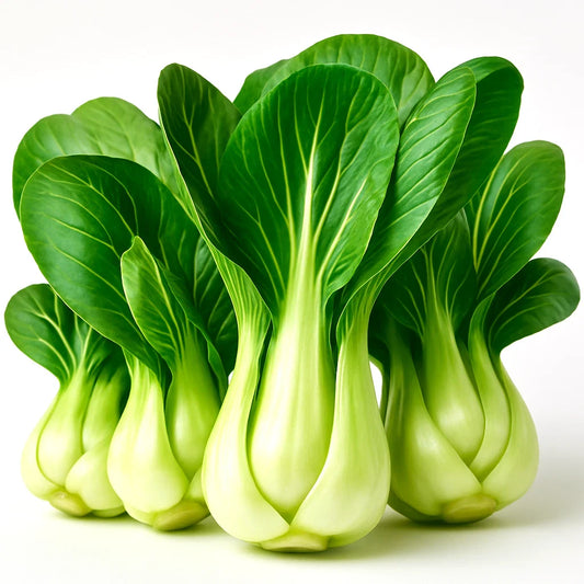 Pak Choi Seeds 1200+ Heirloom Chinese White Cabbage Microgreens Brassica rapa subsp. chinensis