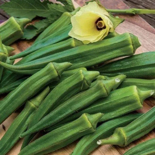 Emerald Okra Seeds - 25+ Heirloom Non-GMO Fresh Seeds - Abelmoschus esculentus