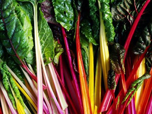 Rainbow Swiss Chard Seeds - 50+ Pack - Rhubarb Perpetual Spinach - Garden Fresh - USA
