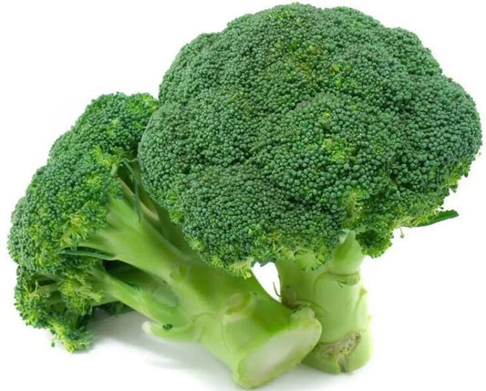 Broccoli Seeds 50+ Heirloom Waltham 29 Organic Non-GMO Fresh Garden Seeds