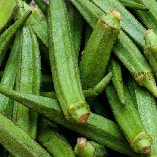 Perkins Long Pod Okra Seeds, Non-GMO, Spineless Variety, Large Size, Abelmoschus esculentus