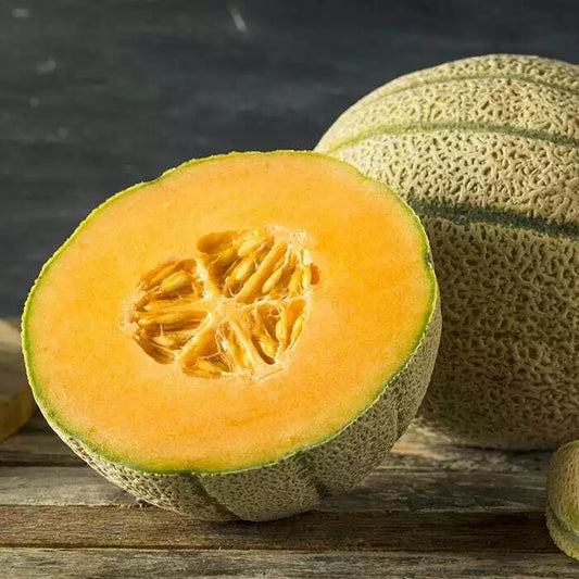 Honey Rock Melon Seeds, NON-GMO Cantaloupe, Sugar Rock Variety, Cucumis melo