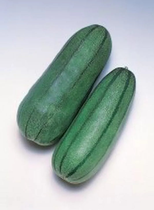 Pickling Melon Seeds - 20 Pack Green Striped Cucumis melo var conomon - Free Shipping USA