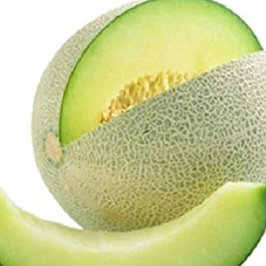 Honeydew Green Melon Seeds | Heirloom NON-GMO | Fresh Garden Seeds | Cucumis melo