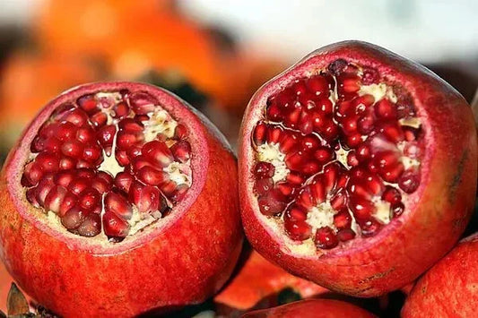 PARFIANKA Pomegranate Tree - Live Plant Cutting, 13-20" Tall, Punica granatum - Ideal for Home Garden or Landscaping