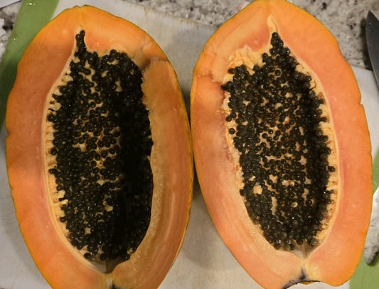 Red Heart Creamy Papaya Seeds - 50 Fresh Seeds for Home Garden, Carica papaya