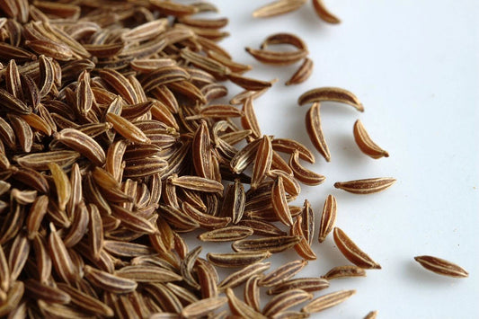 Caraway Seeds 1,000 Count for Growing Meridian Fennel, Persian Cumin Non-GMO, Carum carvi