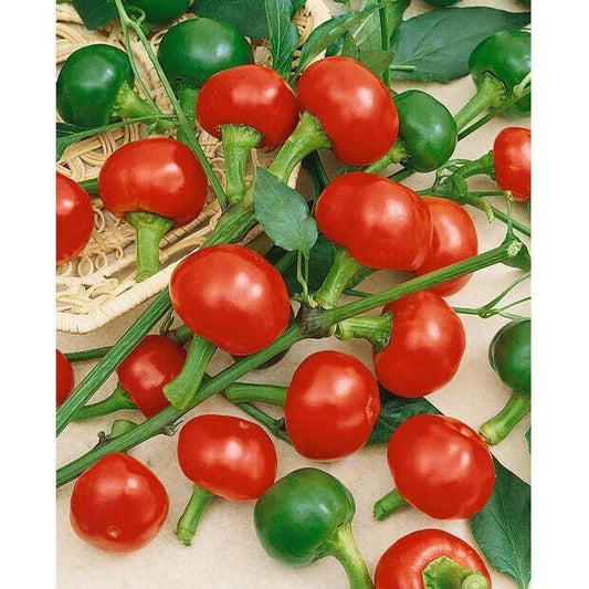 Large Red Cherry Hot Pepper Seeds - Heirloom, Non-GMO Variety - Capsicum annuum - Shipped with Tracking