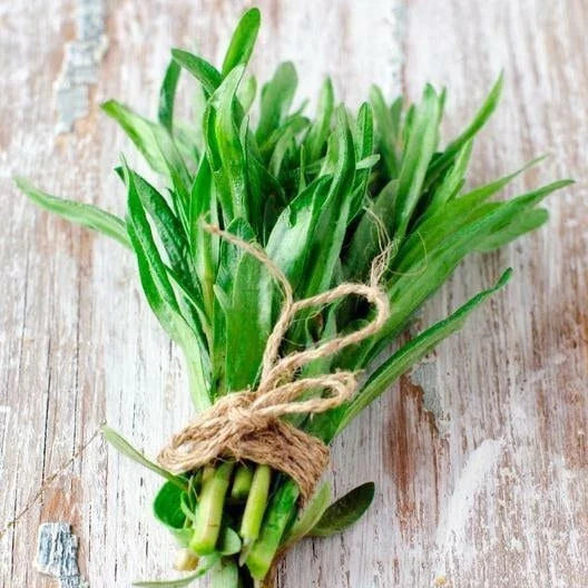 Tarragon Seeds - Herb Seeds - Artemisia dracunculoides - Premium Quality - Tracking Included