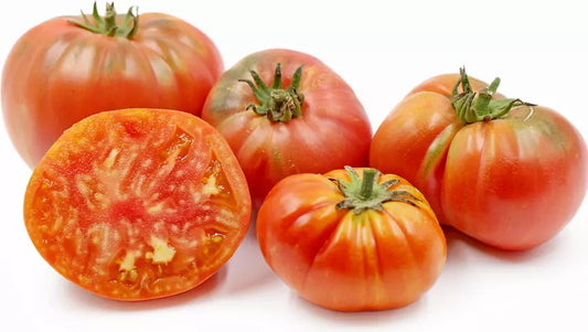Vintage Wine Striped Tomato Seeds - Heirloom Beefsteak - 30+ Seeds - Rare 1 LB+ Variety - Perfect for Home Garden