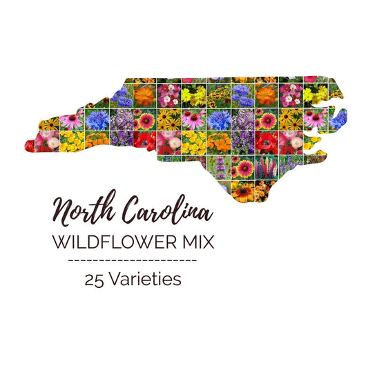 North Carolina Wildflower Seed Mix - 1000 Non-GMO Perennial & Annual Seeds, USA Native Plants