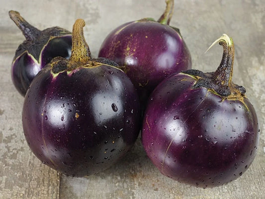 Thai Round Eggplant Seeds - 50+ Heirloom NON-GMO Asian Vegetable - Solanum melongena - Free Shipping USA
