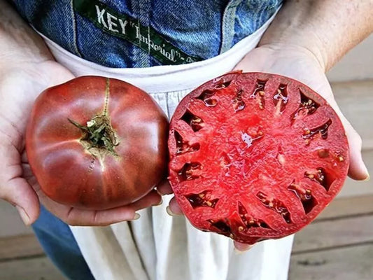 Cherokee Purple Tomato Seeds - 10+ Heirloom Non-GMO Seeds - Solanum lycopersicum
