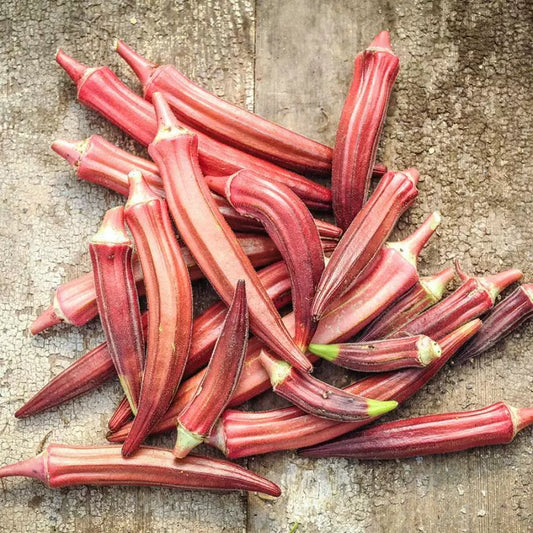 Okra Seeds 30 Ct Jing Orange NON-GMO Heirloom Asian Vegetable - Abelmoschus esculentus