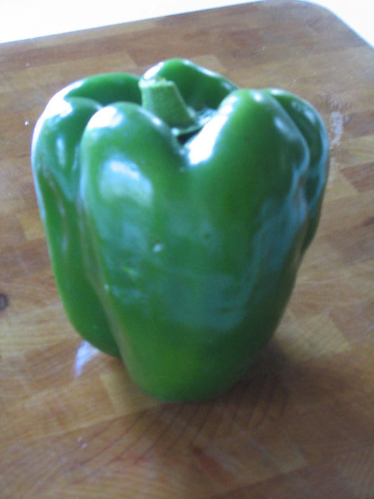 YOLO WONDER SWEET PEPPER SEEDS - 20 Glossy Seeds, Chef's Favorite Variety, Capsicum annuum