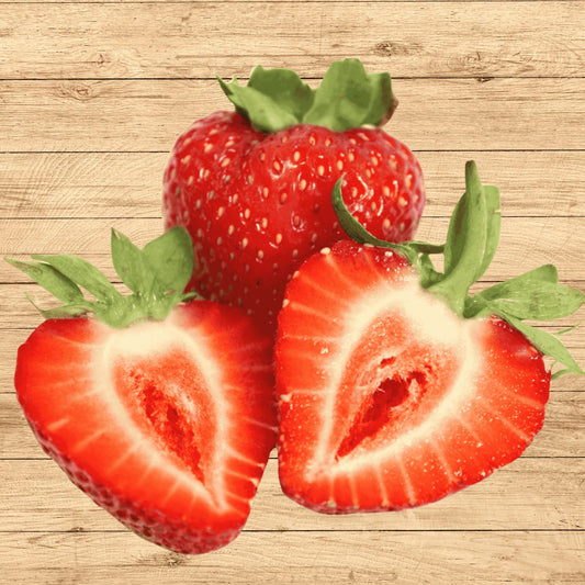 Albion Everbearing Strawberry Plants - Bare Root Pack of 20 - Fragaria x ananassa - Day Neutral Variety