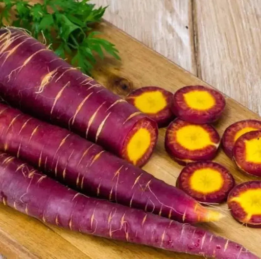 Cosmic Purple Carrot Seeds - 200+ Heirloom Organic Non-GMO - Rare Variety for Home Gardening - Daucus carota