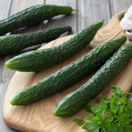 25+ Suyo Long Cucumber Seeds - Heirloom, Non-GMO, Rare Variety - Cucumis sativus