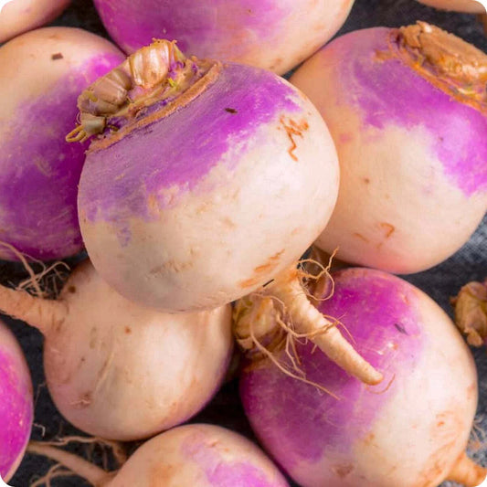 Laurentain Rutabaga Seeds 300+ Non-GMO Vegetable Brassica Napus for Home Gardening, USA Supplier