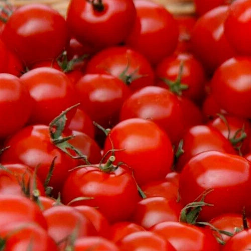 Small Red Cherry Tomato Seeds - 100+ Seeds - Garden Variety for Sauces & Salads - Solanum lycopersicum