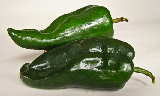 Poblano Chili Pepper Seeds - Mild Flavor for Chili Relleno - 12 Seeds per Packet - Capsicum annuum