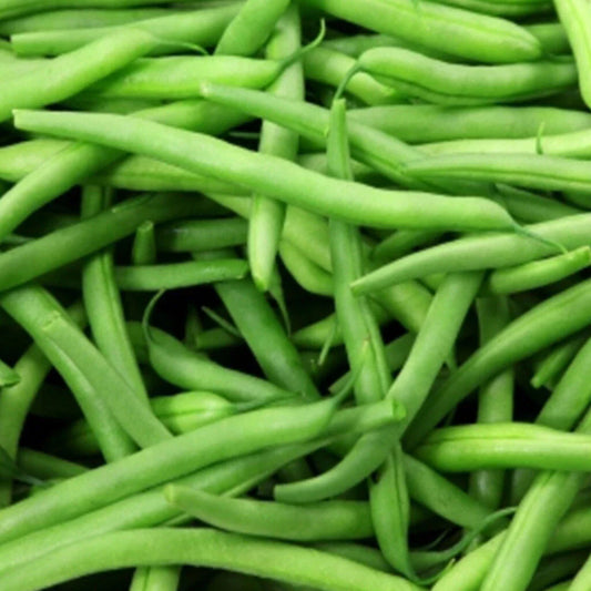 Kentucky Wonder Pole Bean Seeds 50 Ct Heirloom NON-GMO Vegetable Garden Seeds (Phaseolus vulgaris)
