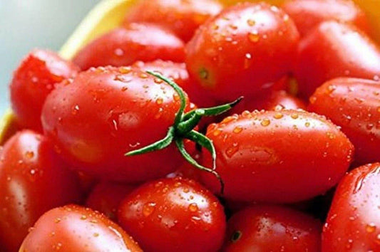 Crovarese Italian Grape Tomato Seeds, 30 Count, NON-GMO, Heirloom Variety, Solanum lycopersicum