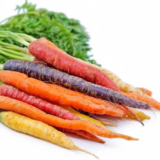 Rainbow Carrot Seeds for Planting | Non-GMO Heirloom | 750 Seeds | Daucus carota