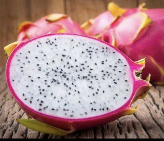 Dragon Fruit Plant 4" White Flesh Pitaya Exotic Tropical Cacti Edible Good Eat