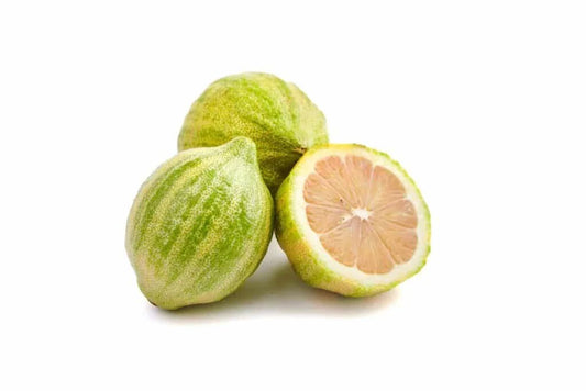 Variegated Pink Lemon 5 Seeds for Garden Planting - Citrus limon - USA Fast Shipping