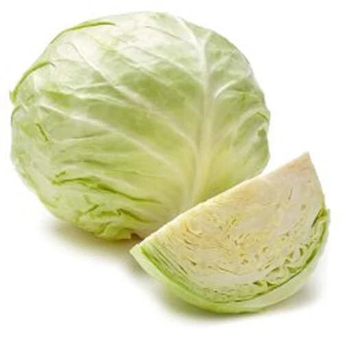 Early Golden Acre Cabbage Seeds - 200+ Pack, Chinese Cabbage, White Center, Brassica oleracea, 3lbs USA