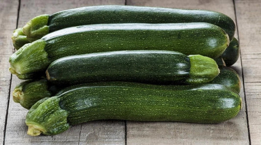 Premium Dark Green Zucchini Seeds, 20 Count, Heirloom Vegetable Seeds, Cucurbita pepo