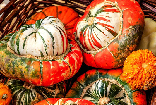 Turk's Turban Gourd Seeds, NON-GMO, Ornamental Variety, Giraumon Turban, Free Shipping