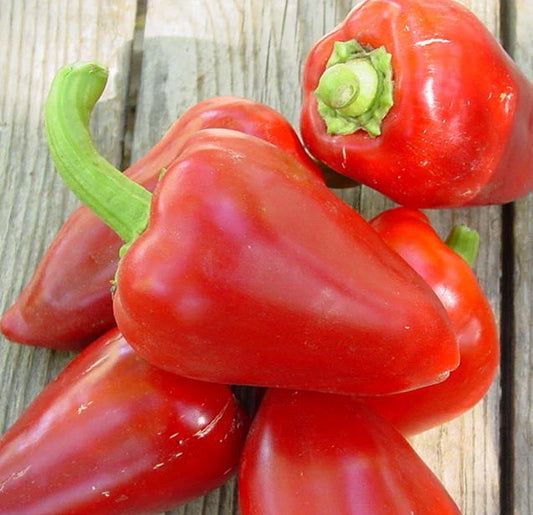 Sweet Pepper Seeds - Pimento L Variety - Heart Shaped Peppers - 20 Count Packet - Perfect for Home Gardening