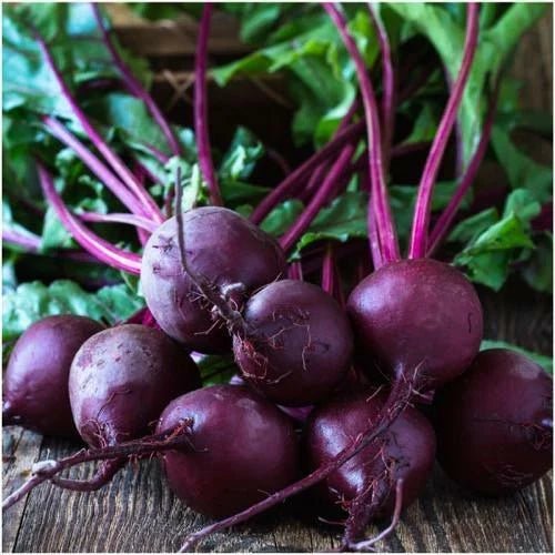 Beet Seeds 100 Ct Early Wonder Tall Top NON-GMO Vegetable Garden Seeds Beta vulgaris