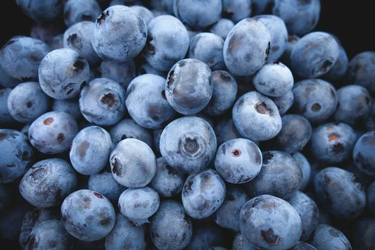Highbush Blueberry Seeds - Non-GMO Fresh Blueberry Seeds - Vaccinium corymbosum - Shipped with Tracking