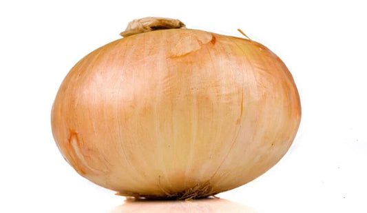 Vidalia Onion Seeds 500+ Count for Garden Planting - Allium cepa - USA Grown, Non-GMO