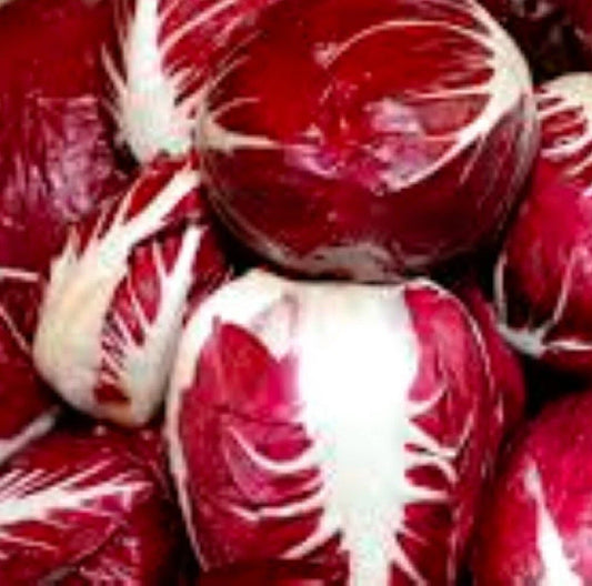 Radicchio Seeds | Heirloom Palla Rosa | Fresh Garden Seeds | Cichorium intybus