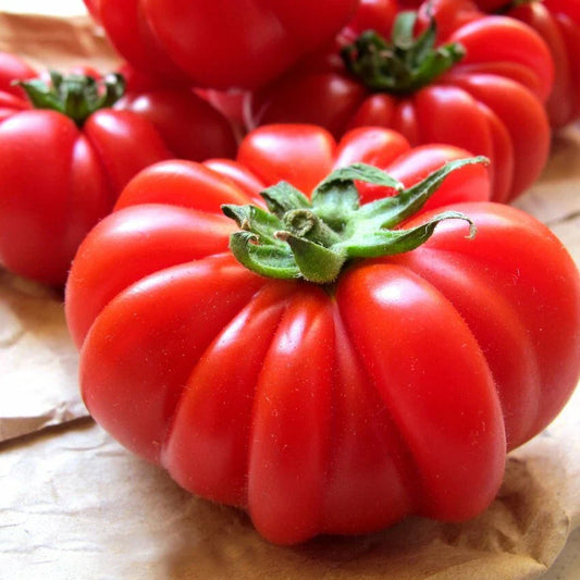 Costoluto Genovese Tomato Seeds, Italian Ribbed, NON-GMO, Heirloom Seeds for Home Gardening