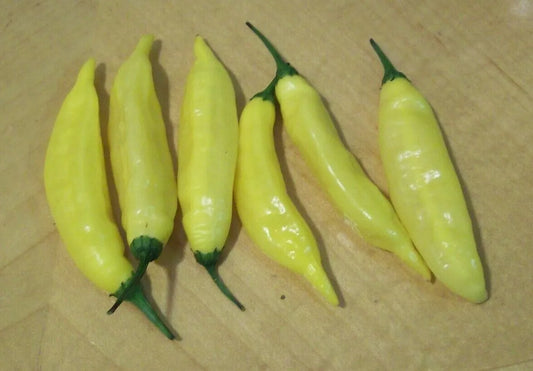 Hot Lemon Pepper Seeds - 30+ Aji Limon Variety - Ideal for Vegetable Garden - Capsicum baccatum - Free Shipping