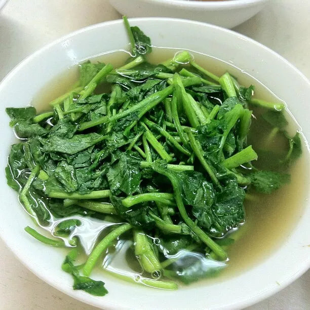 2000 True Watercress Seeds - Non-GMO Heirloom - Aquatic Edible Plant - Nasturtium officinale - USA Seller