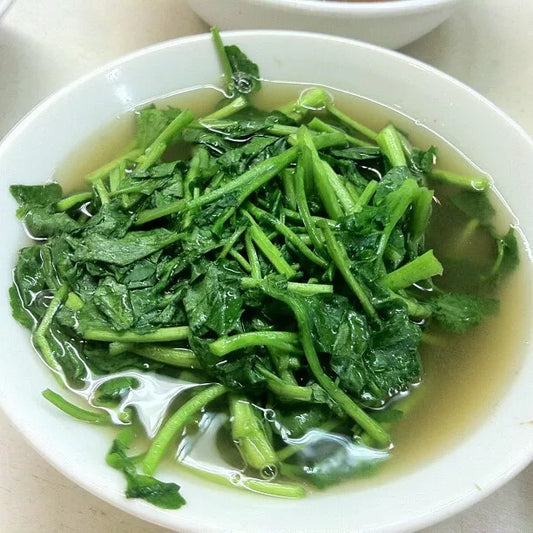 2000 True Watercress Seeds - Non-GMO Heirloom - Aquatic Edible Plant - Nasturtium officinale - USA Seller