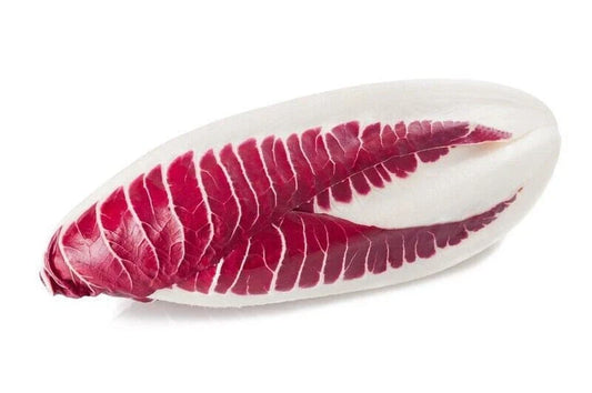 Red Treviso Endive Seeds - Heirloom Non-GMO Seeds - Chicorium intybus - Tracking Included