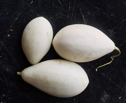 Nest Egg Gourd Seeds - 25+ Pack for Garden Planting - Lagenaria siceraria - USA Grown, Free Shipping